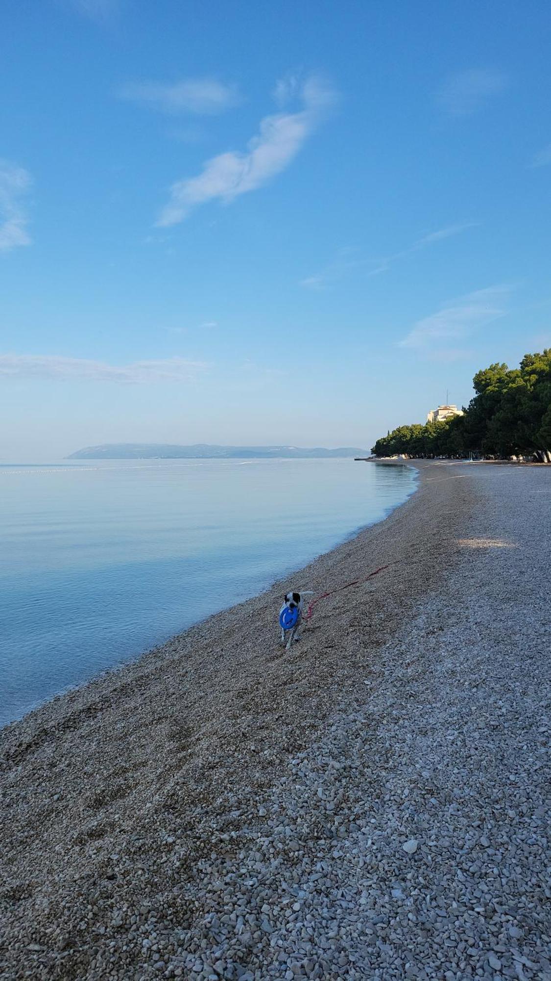 Apartman Vulic Apartamento Tučepi Quarto foto